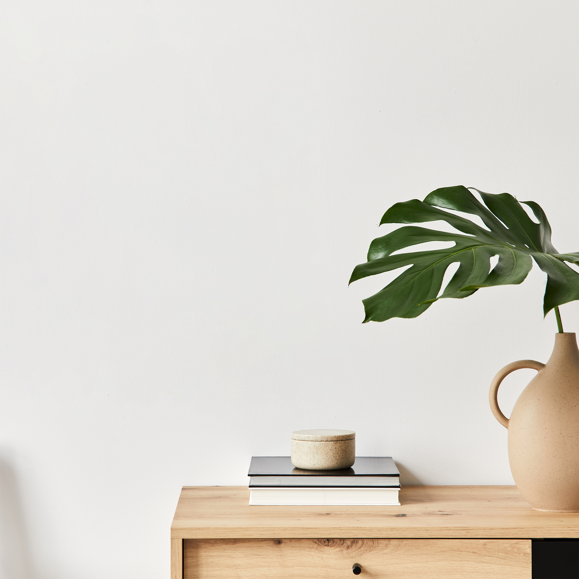 Shadow layer for a close up of a minimalist table with a vase and plant on.