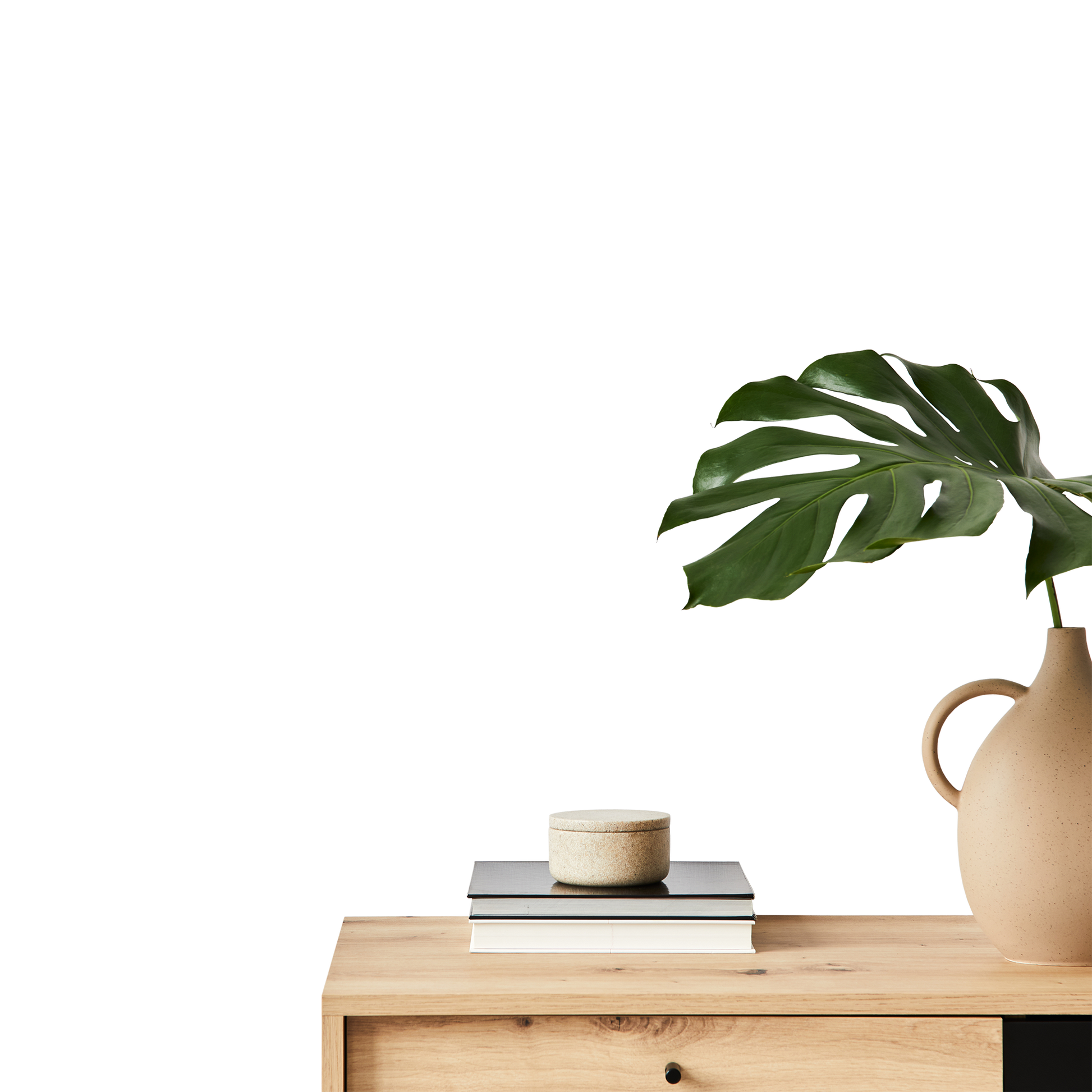 Shadow layer for a close up of a minimalist table with a vase and plant on.