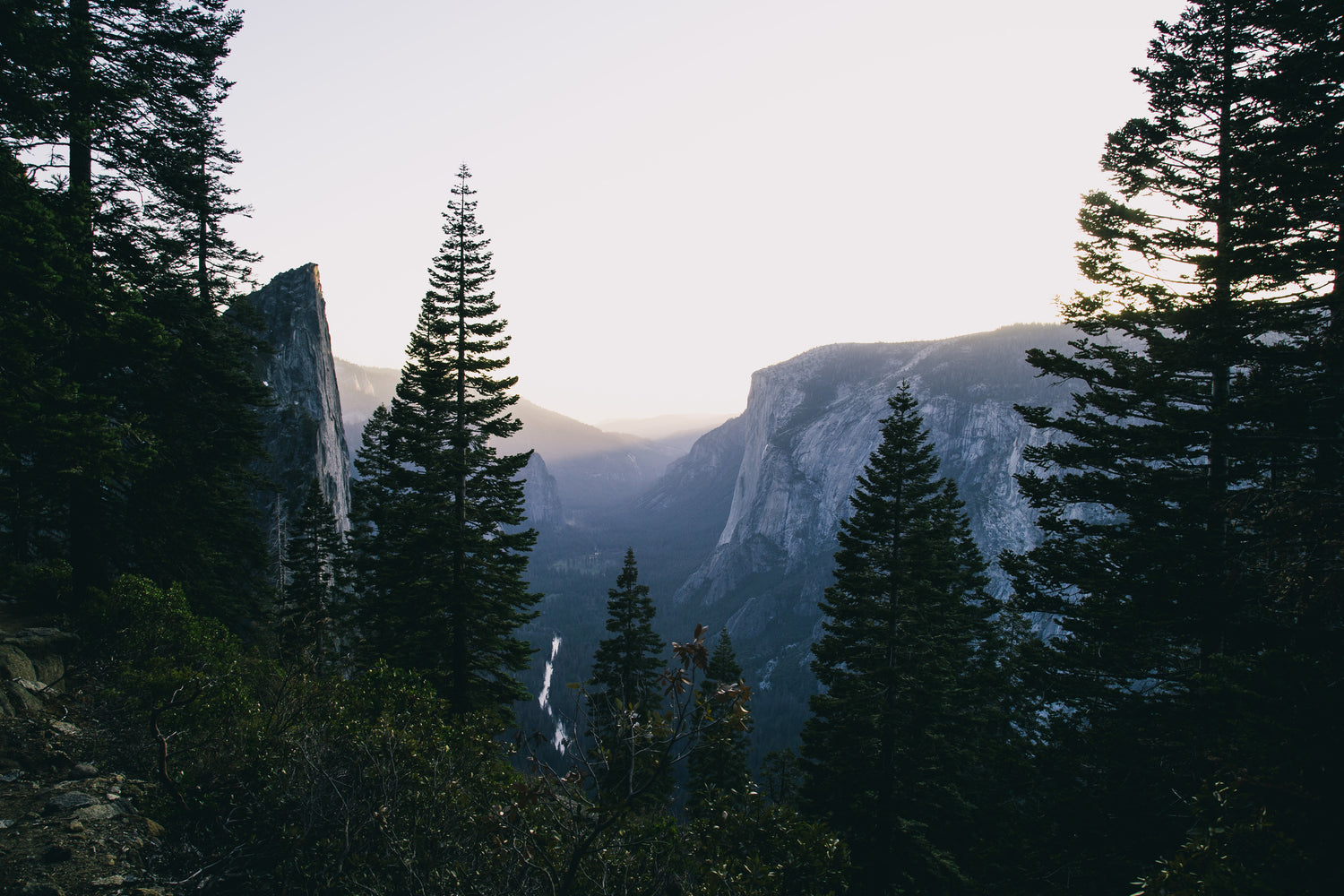 caring for the environment | Peel & Paper