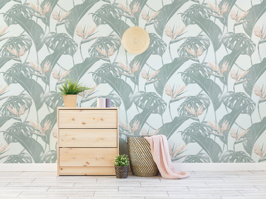 Regina Wooden Cabinet and Green Plants